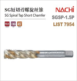 SG�����������z�F